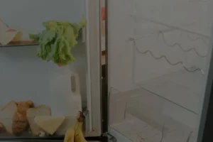 Bosch Appliance Repair