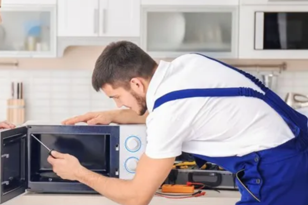 Microwave Plate Not Spinning? 4 Reasons Why