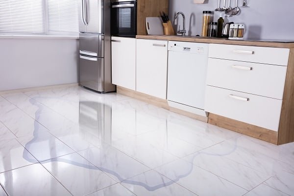 9 Reasons Your Dishwasher Is Leaking from the Bottom and What to Do