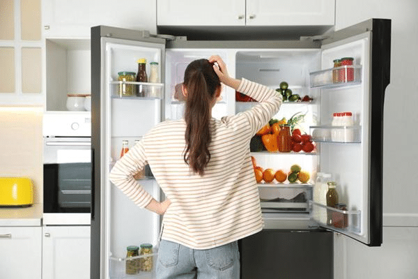 Refrigerator Parts: Everything You Need to Know